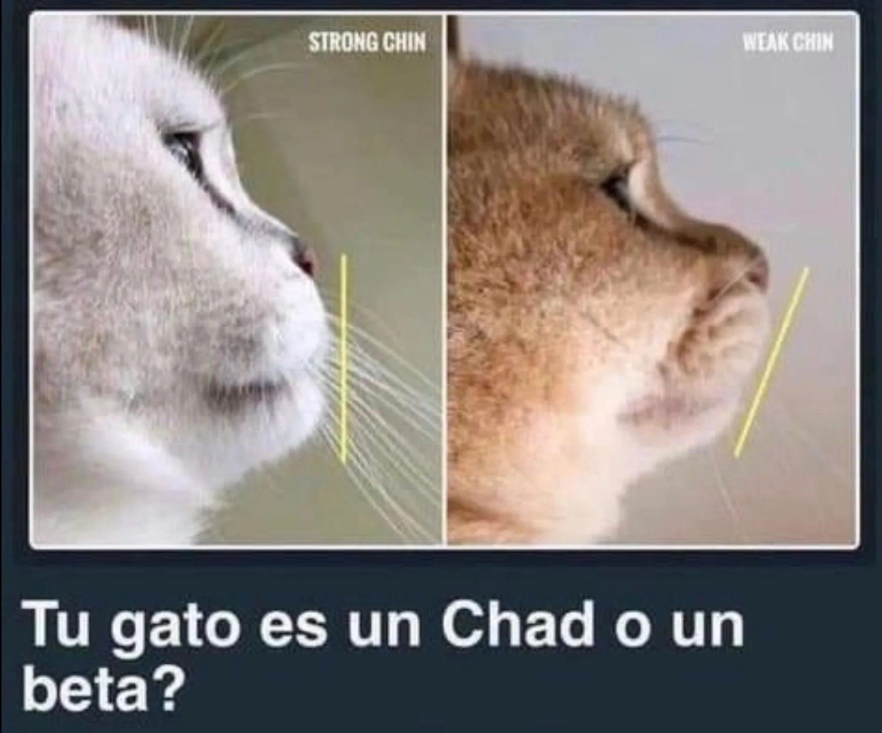 ***