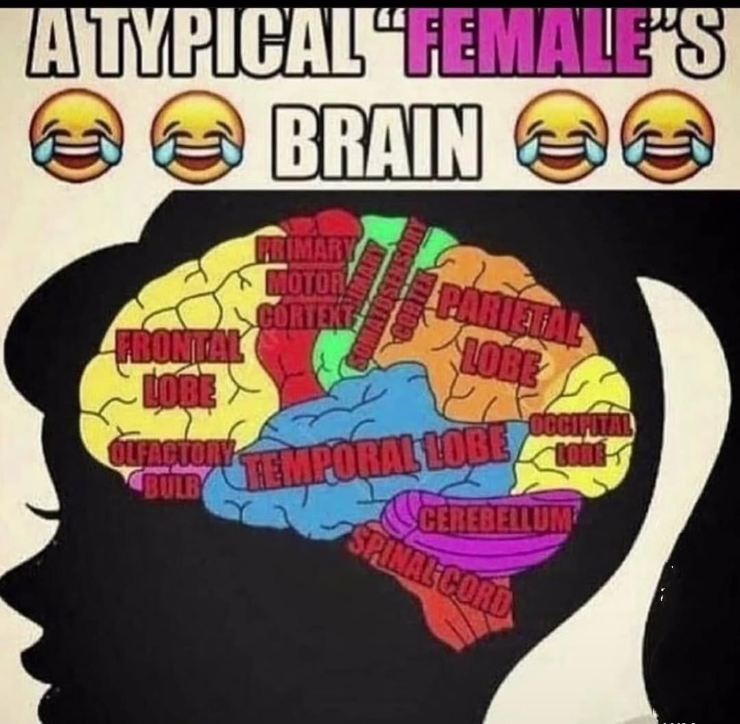 women are so neuron controlled and ATP operated