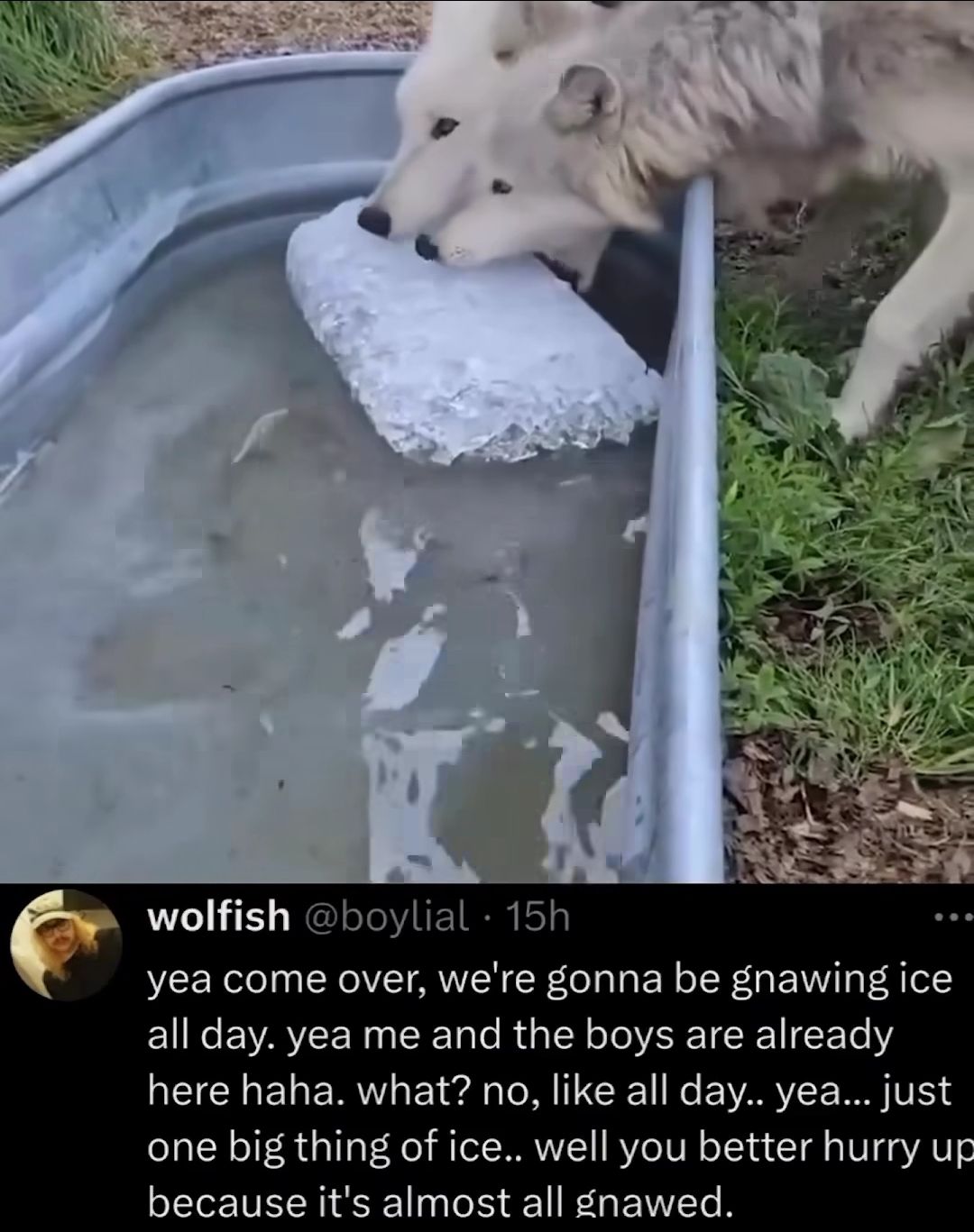 Ice