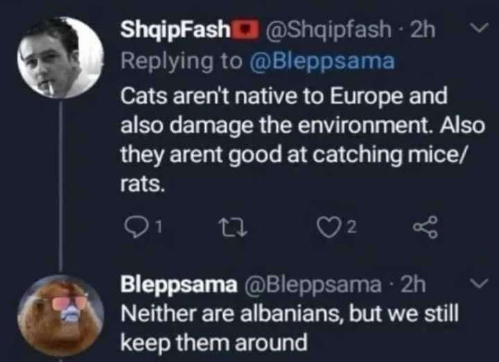 cats are Aryan af actually