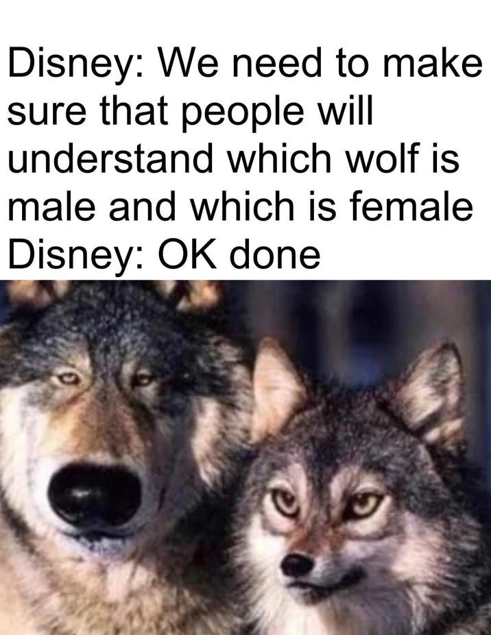 Bearwolf and foxwolf
