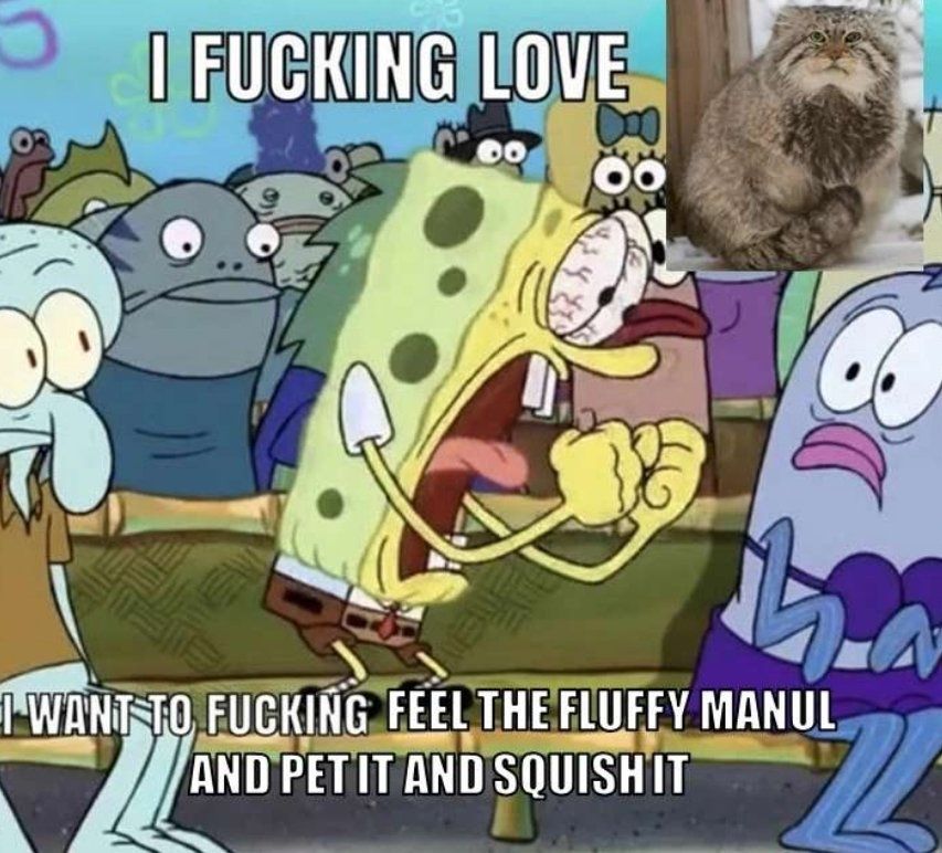 ***