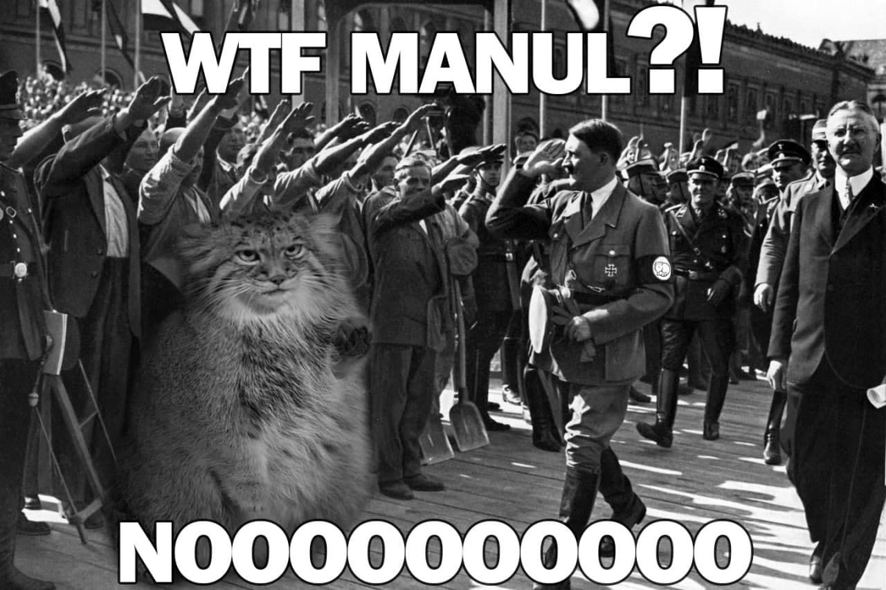 ***