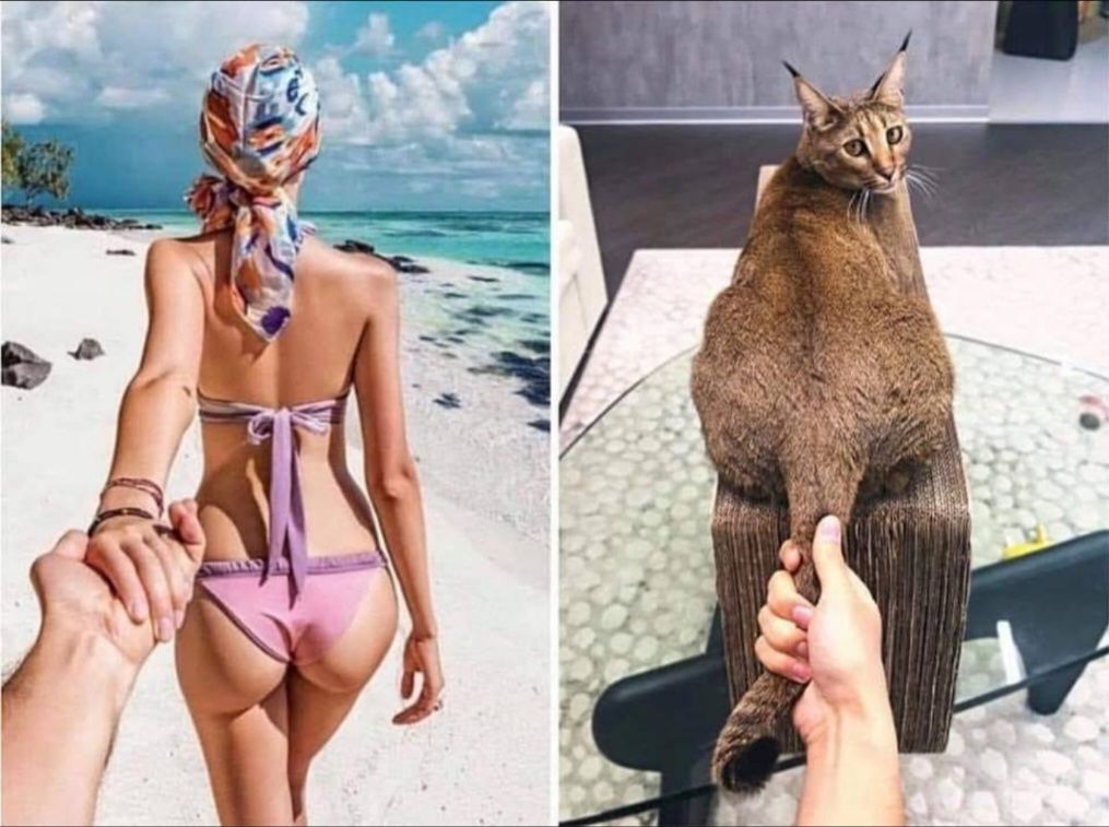 Choose wisely