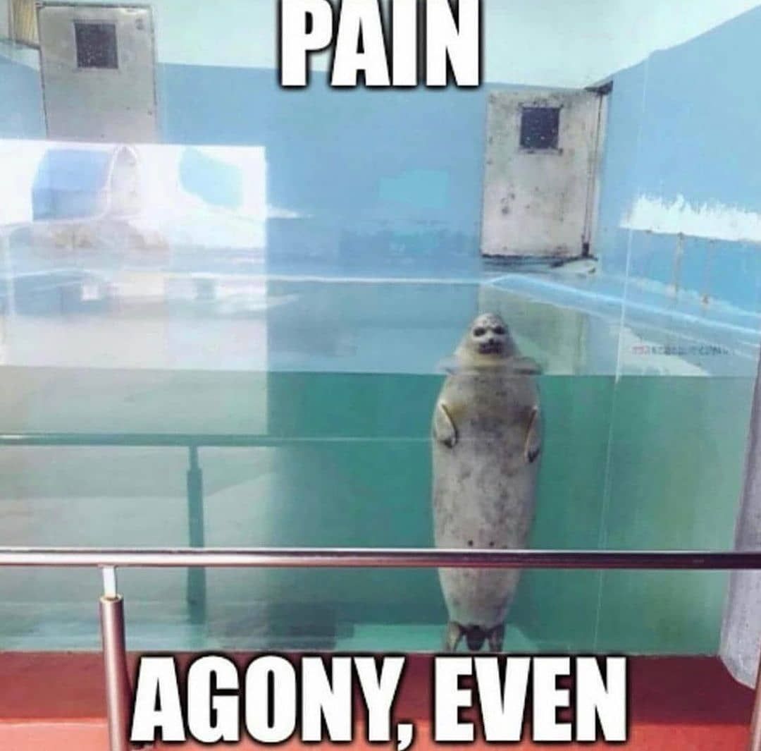***