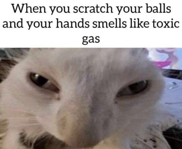 ***