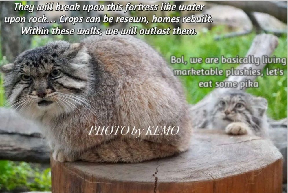 ***