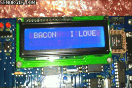 Best reason to become a programmer