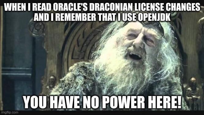 Oracle's business model is exploiting gigacorps that can't migrate away from their garbage