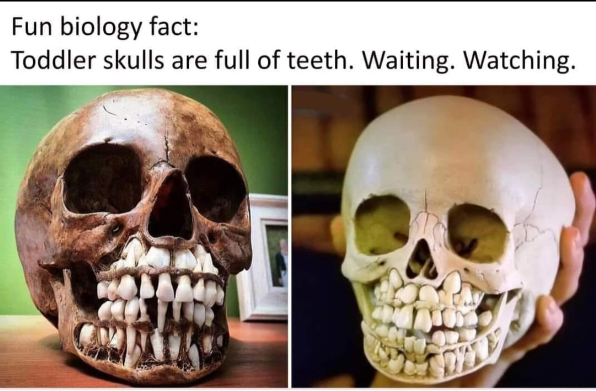 You thought they were cute?