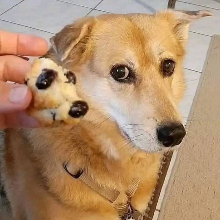 BrØ̈ther