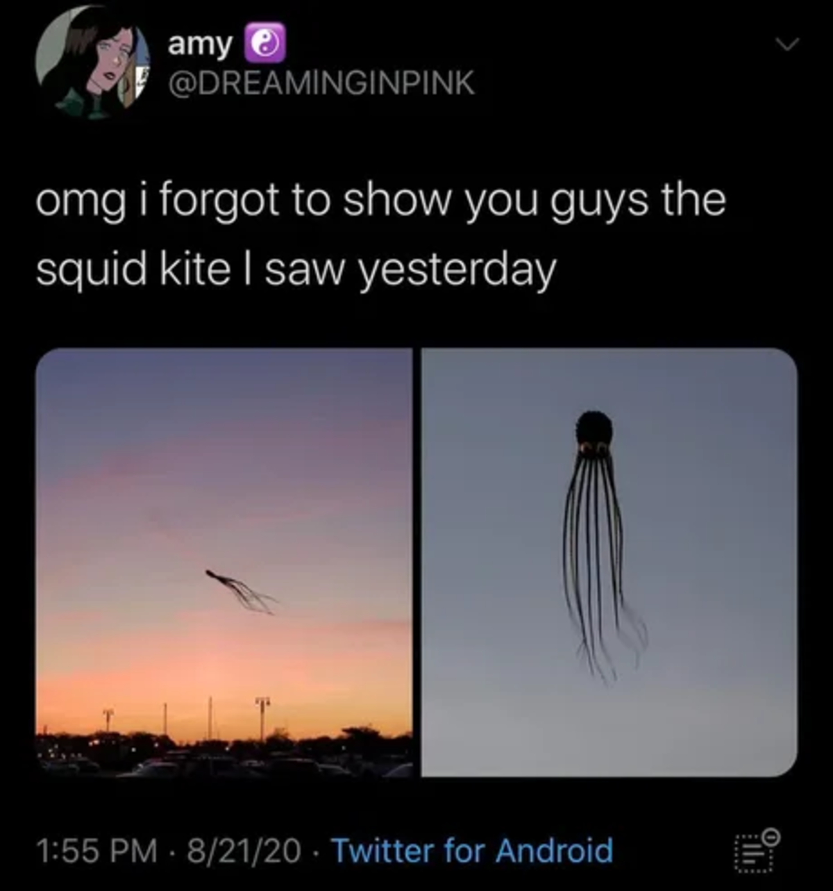 I also choose to believe it's a kite