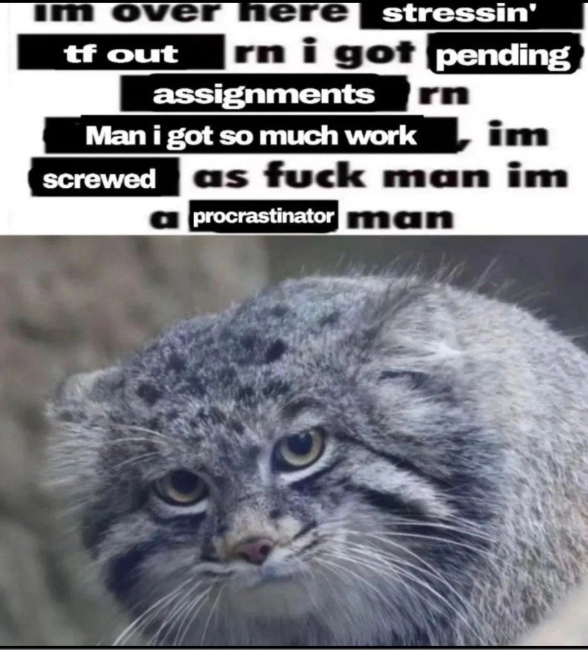 ***