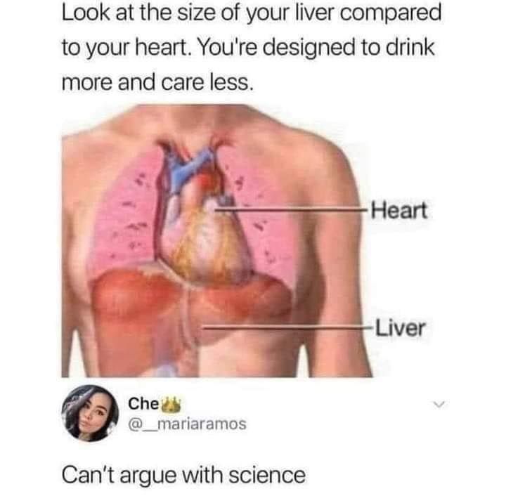 It all makes sense