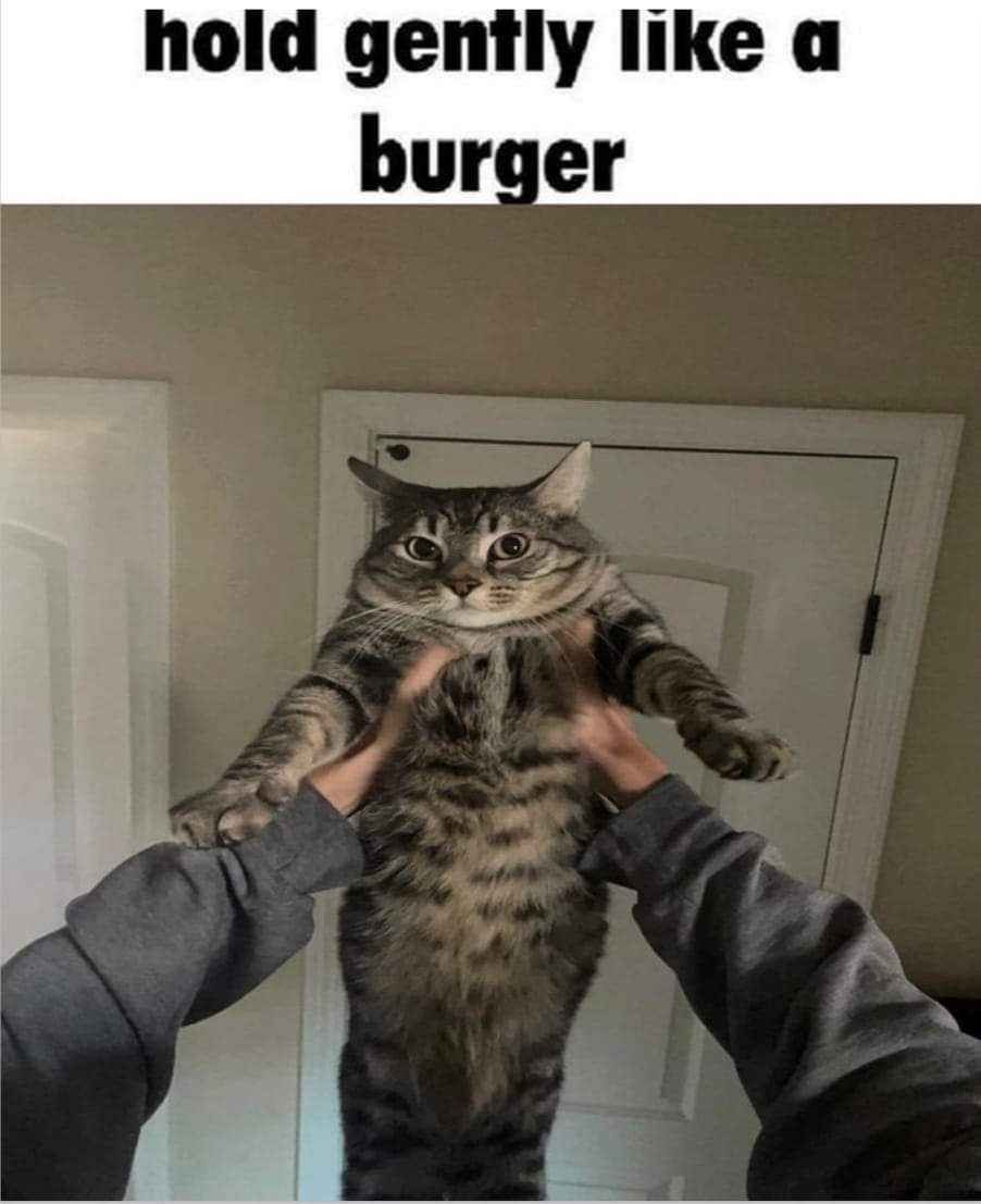 ***