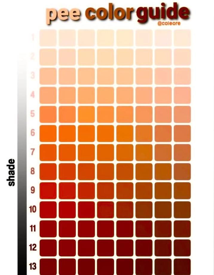 what's today's color?