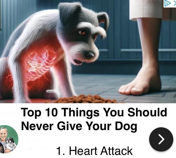 Kira, nooooo!