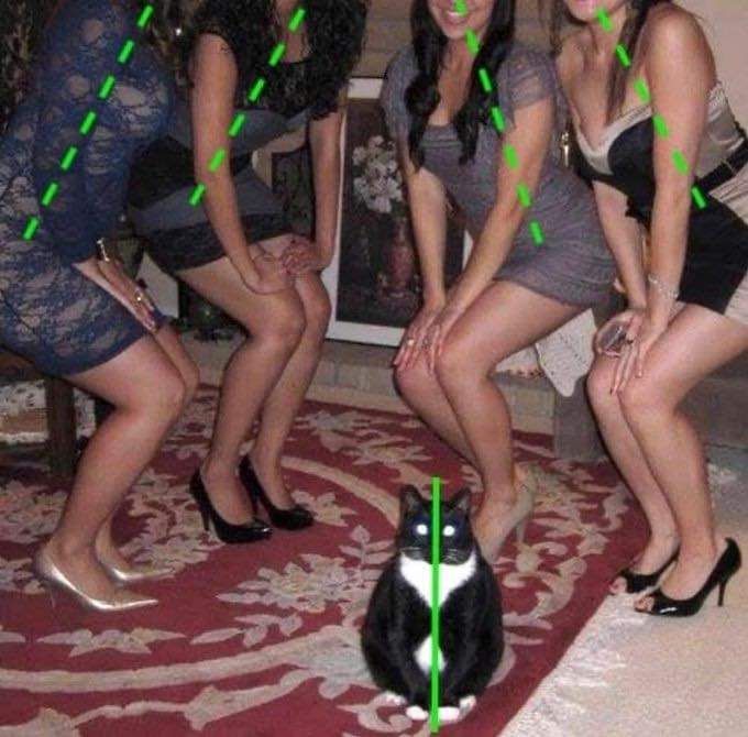 ***
