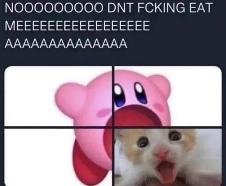 Nom nom nom