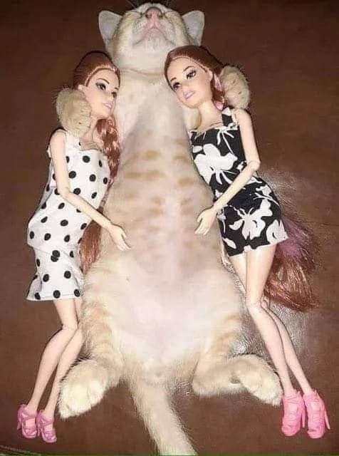 ....