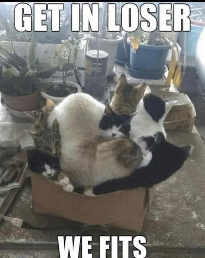 ***