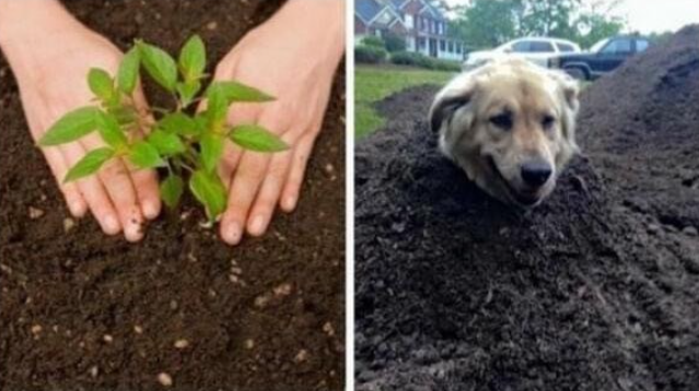 Nature is healing