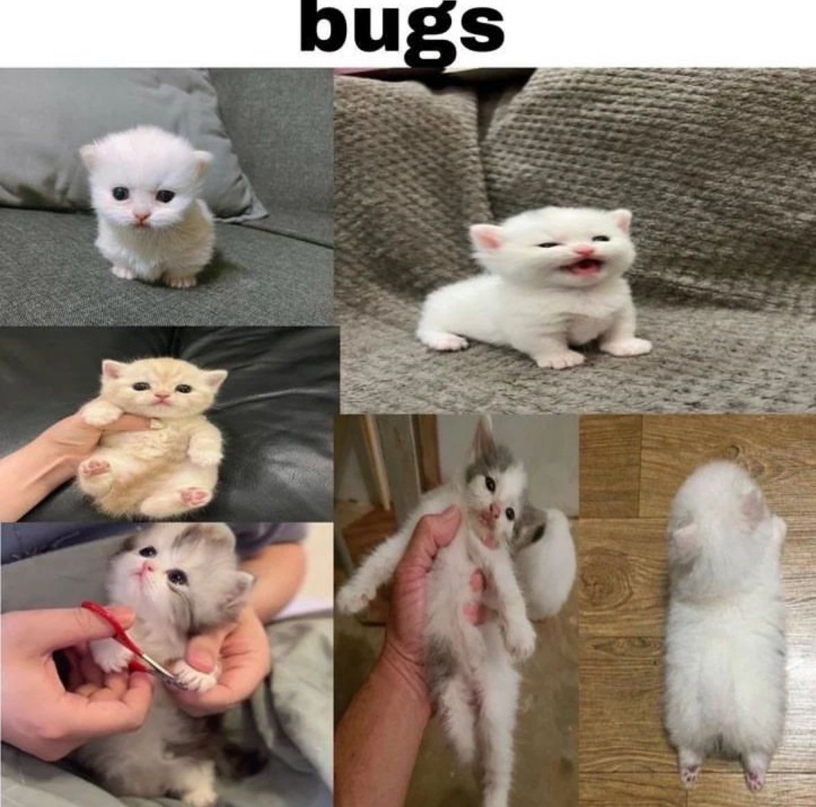 ***