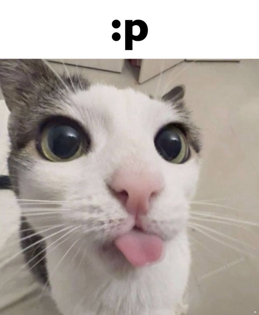 ***