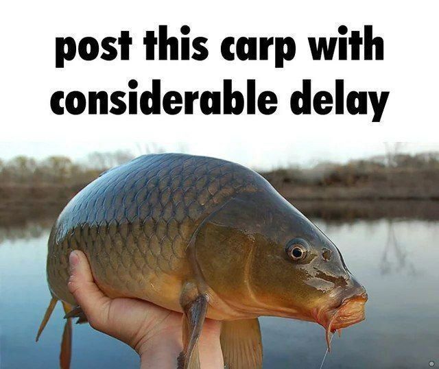 ***
