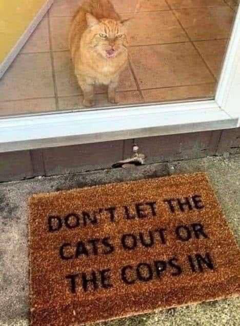***