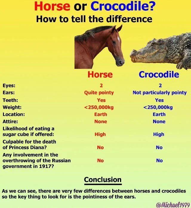 I not a crock