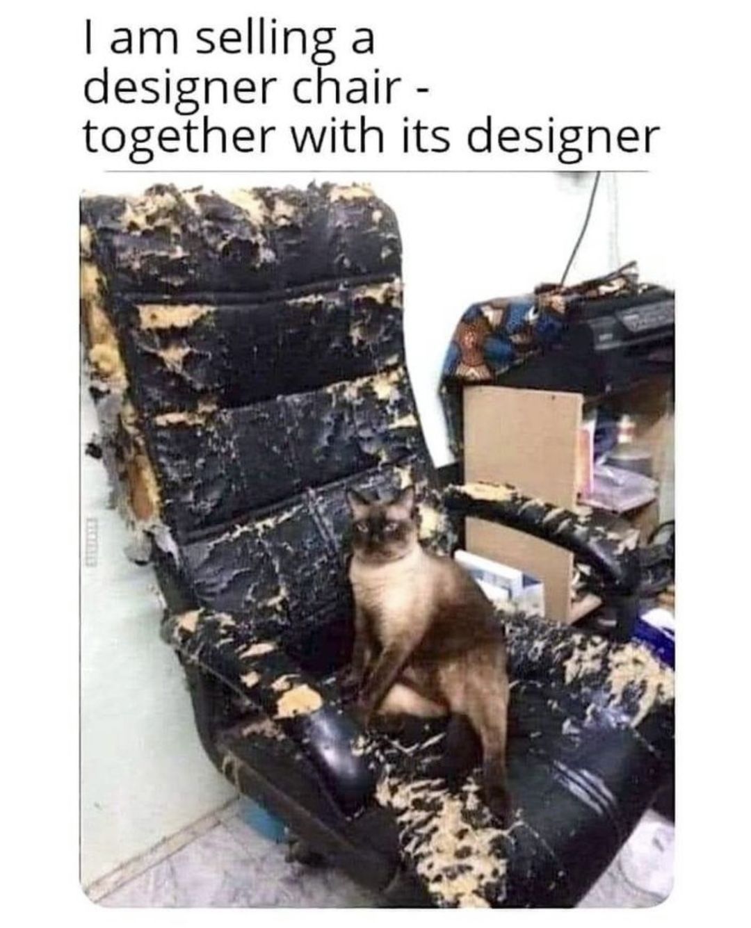 Fancy