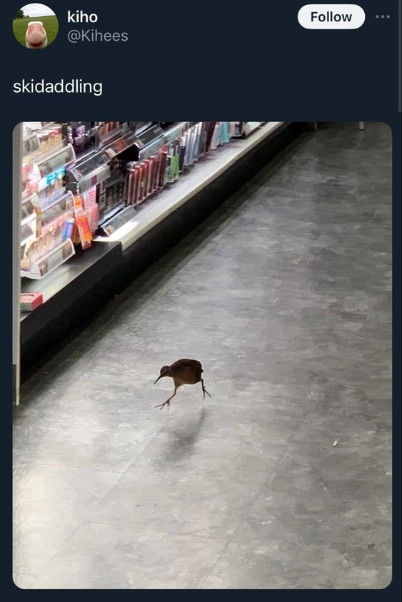 ***