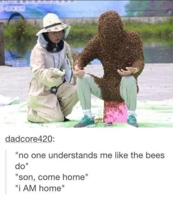 The B's