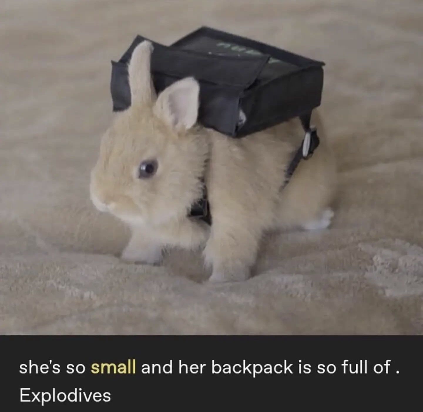 ***