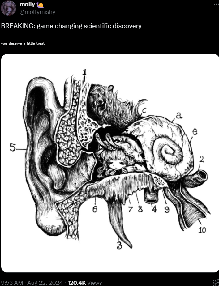 snail in your ear napping