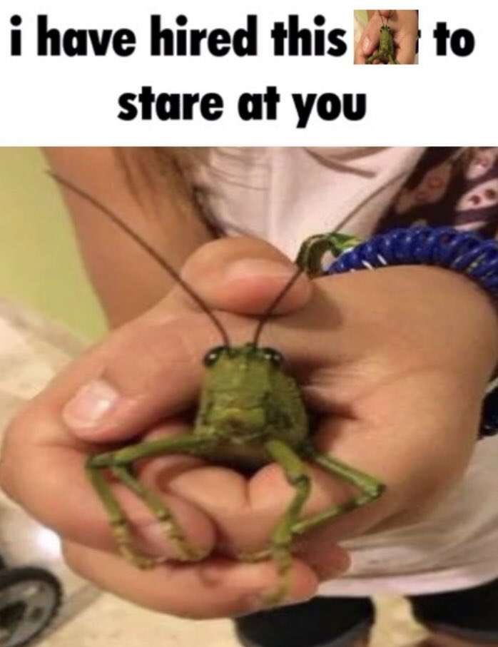 ***