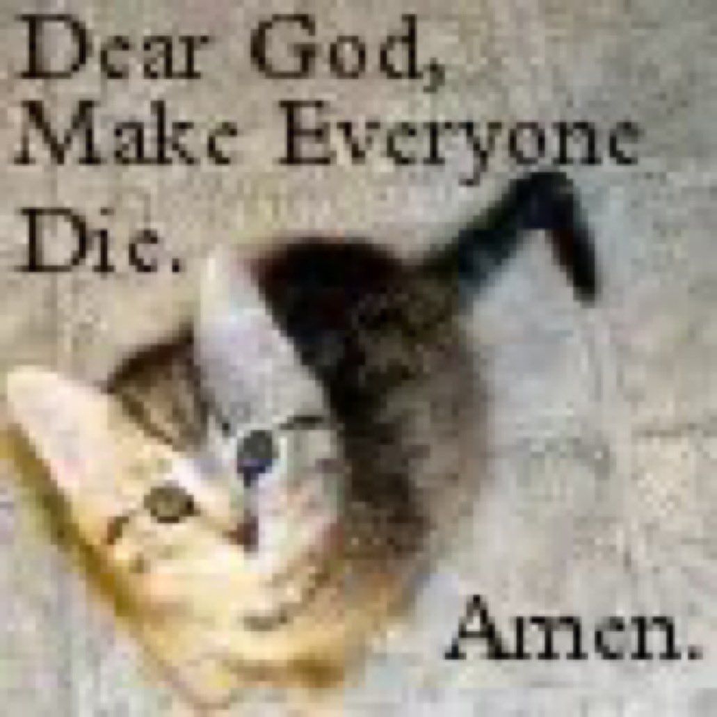 ‎‎‎‎