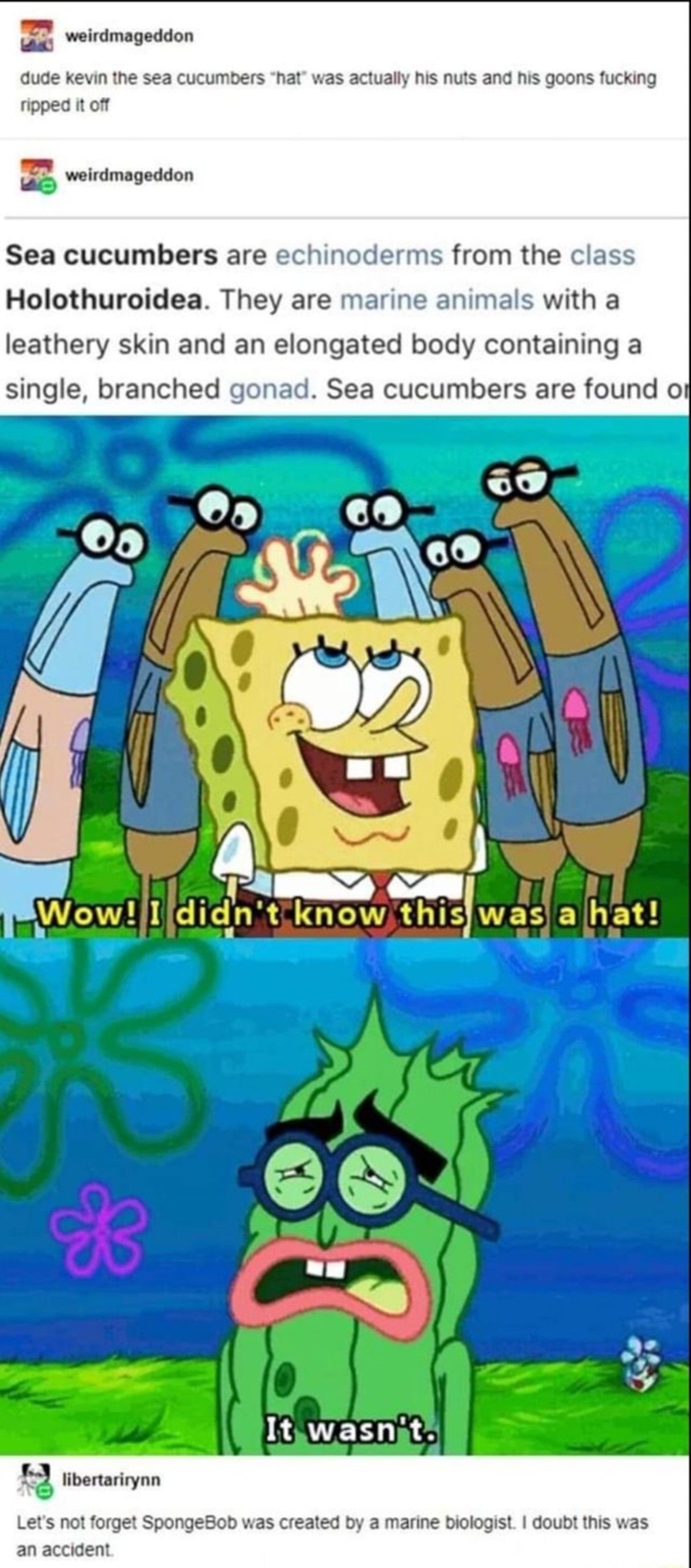 OG Spongebob