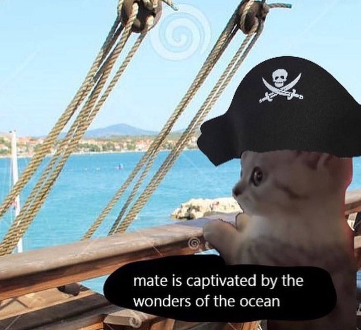 ***