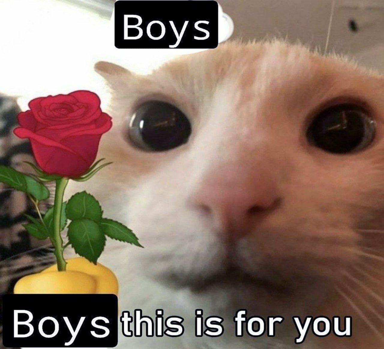 ***