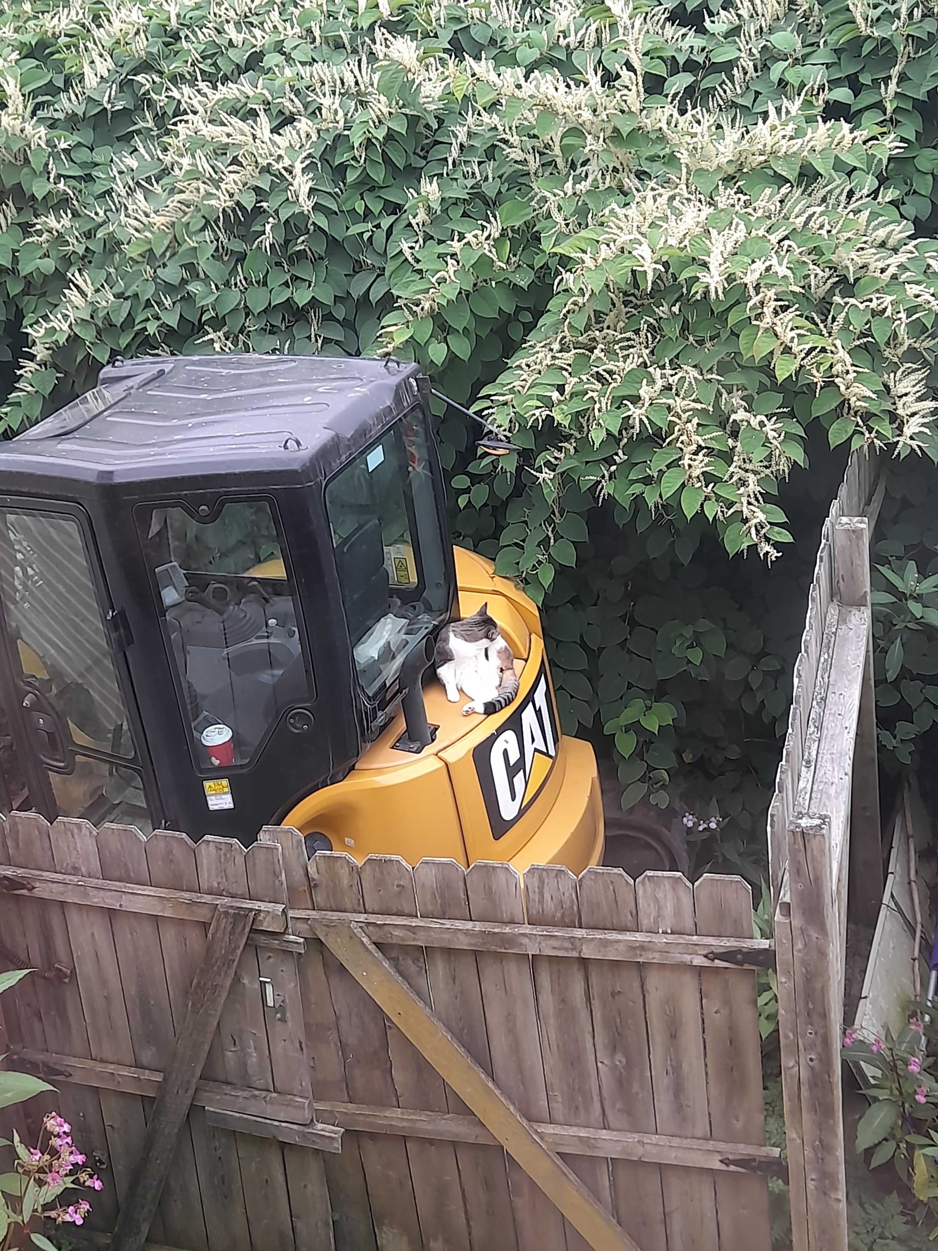Damn it Dudders, quit napping on the job