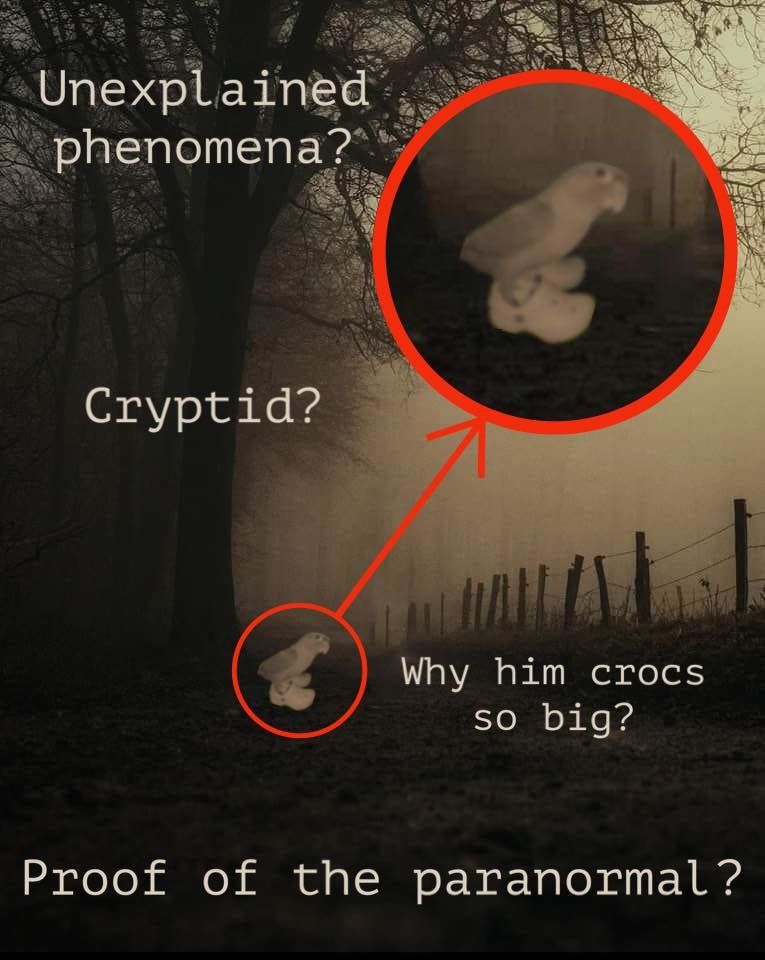 The only thing paranormal is that level of drip