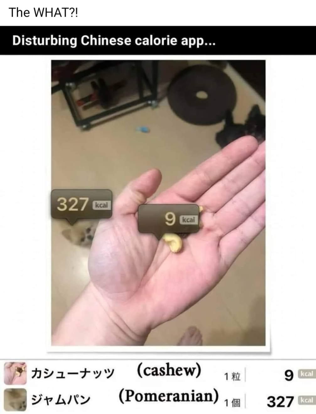 Oh no.