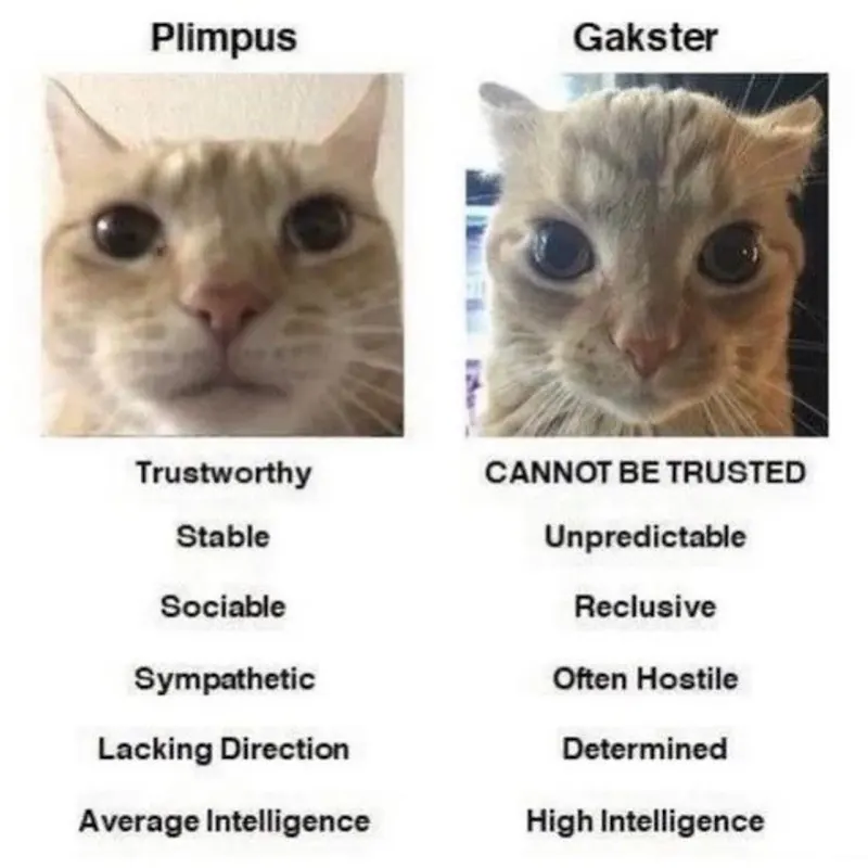 ***