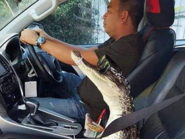 It's him. The navigator