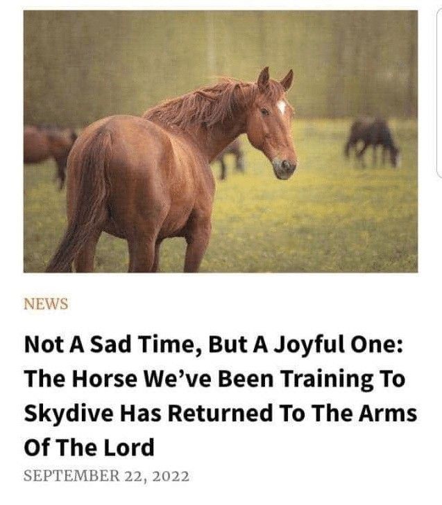 God Be With Ye, Horse