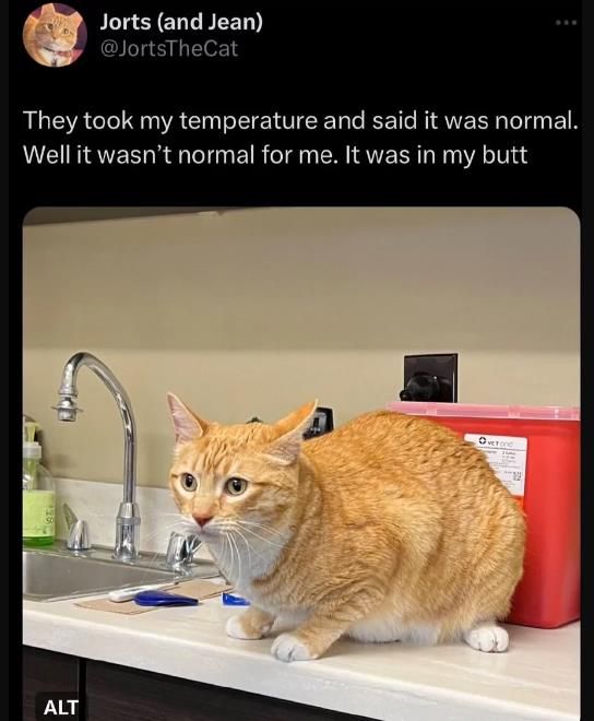Temperature