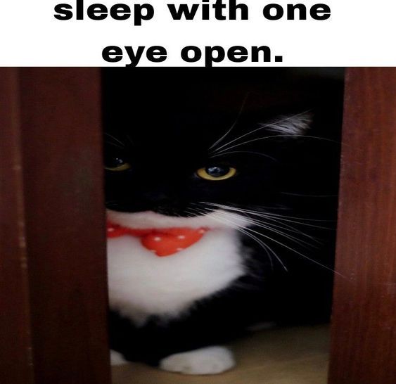 ***