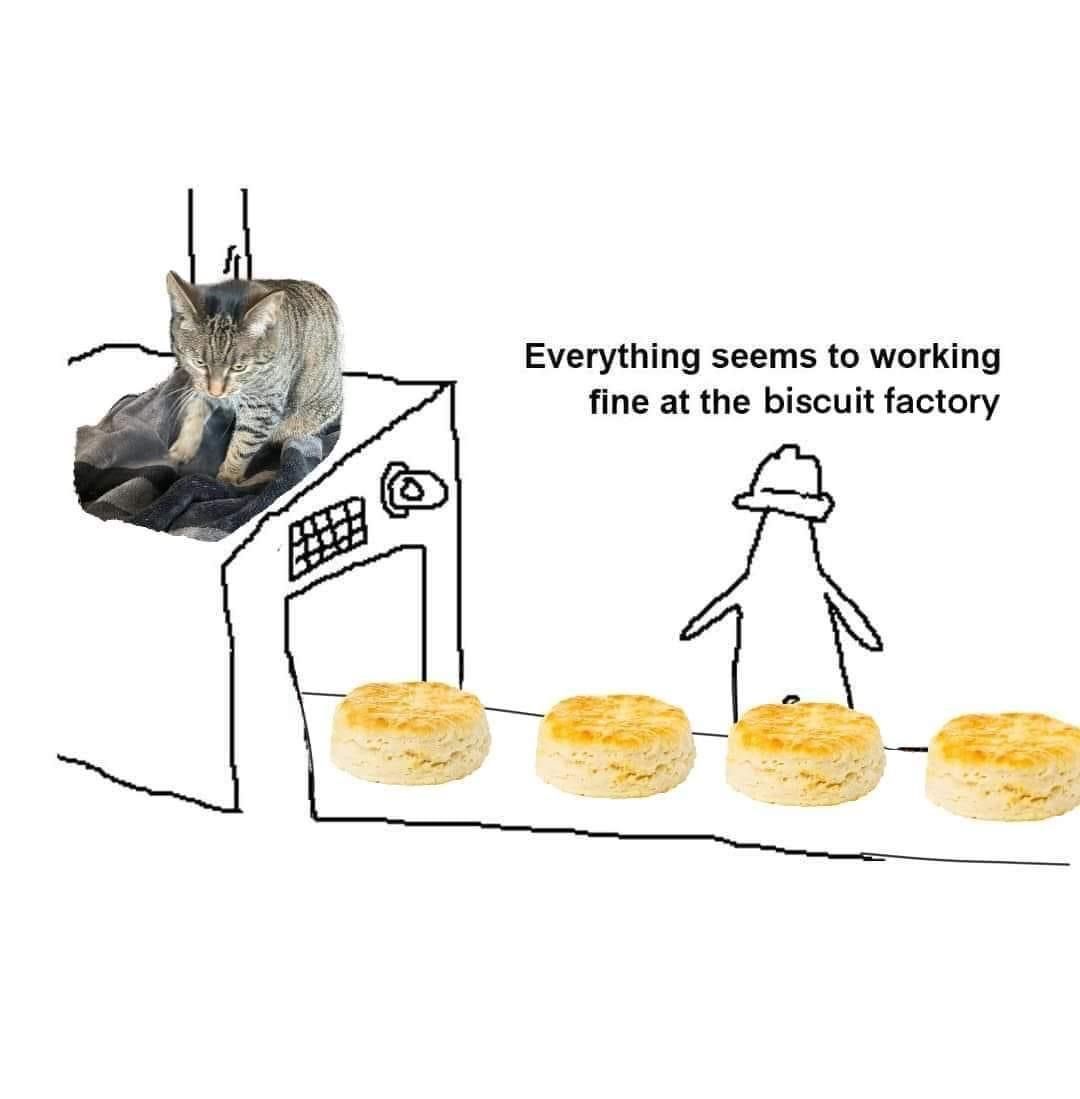He kneads